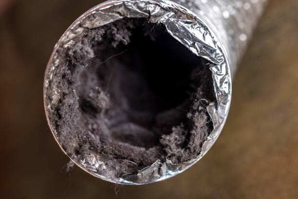 Best Emergency Air Duct Cleaning  in Progreso, TX